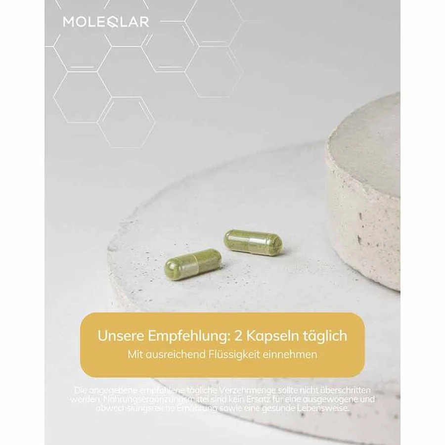 Moleqlar Spermidine Capsules, 60 capsules