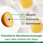 Curcumin-Loges plus Boswellia Kapseln, 2x120 St Kapseln
