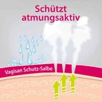 Vagisan Schutz-Salbe , 2x75 ml Salbe