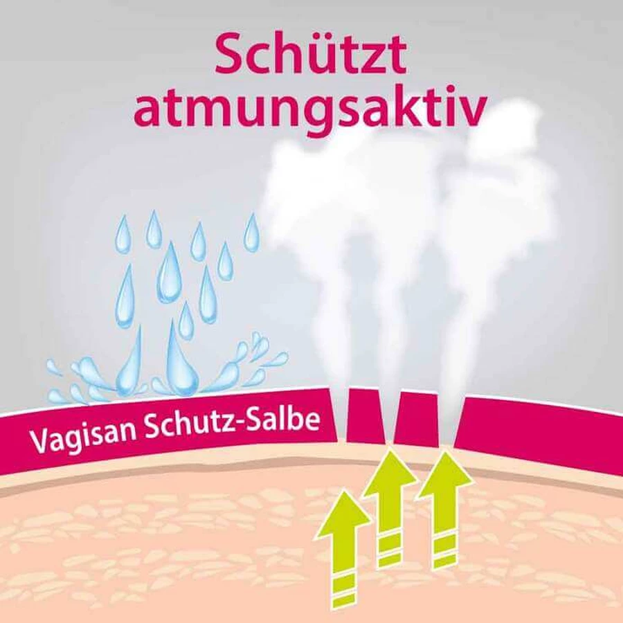 Vagisan Schutz-Salbe , 2x75 ml Salbe