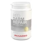 PANACEO MED DARM-REPAIR Pulver, 100 g Pulver