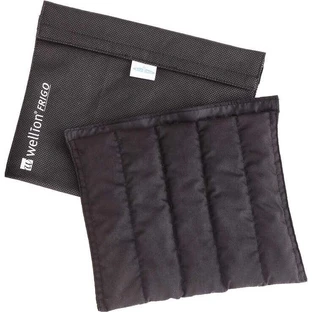 Wellion Frigo XXL avec sac isotherme, 1 pièce (en l'état)