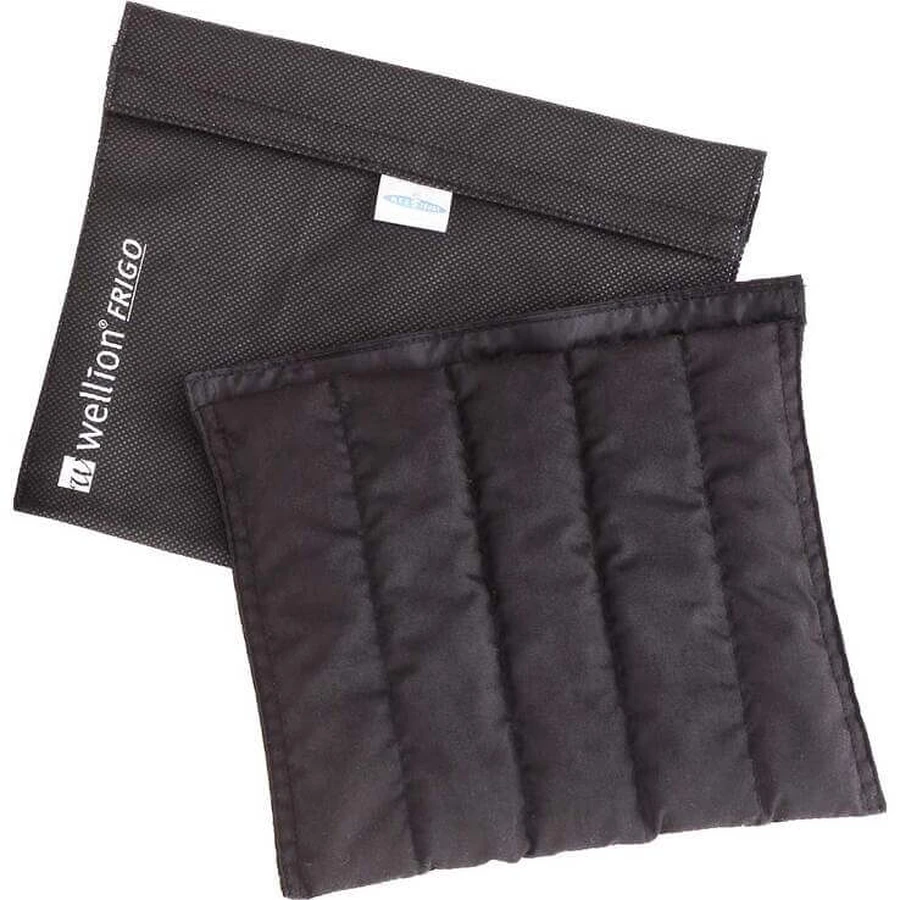 Wellion Frigo XXL avec sac isotherme, 1 pièce (en l'état)