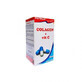 Collagen + Vitamin C, 70 capsules, Favisan