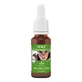 Bachblüten Nr. 43 Tropfen, 20 ml Tropfen zum Einnehmen