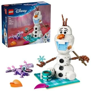 Picnic Fun with Olaf and Bruni, Ages 7+, 43287, 478 pieces, Lego Disney
