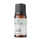 Scented Oil, No. 35, Jasmine, 10 ml, Light Candel Art