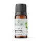 Scented Oil, No. 03, Bergamot, 10 ml, Light Candel Art