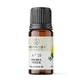 Scented Oil, No. 21, Freesia, 10 ml, Light Candel Art