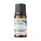 Aromatic Oil, No. 18, Australian Eucalyptus, 10 ml, Light Candel Art