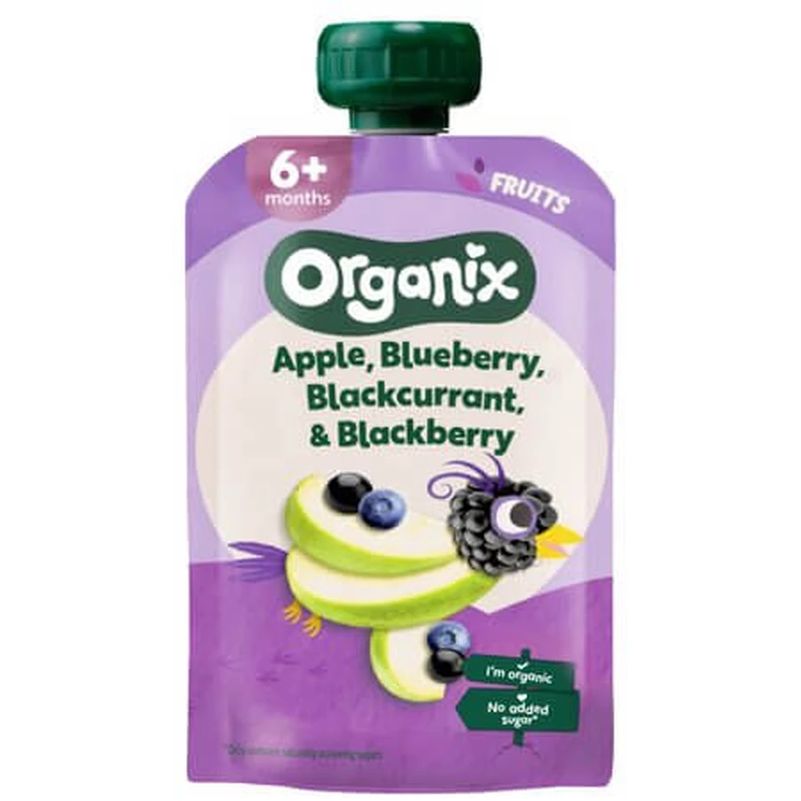 Bio-Püree aus Apfel, Heidelbeere, schwarzer Johannisbeere und Brombeere, ab 6 Monaten, 100 g, Organix