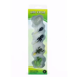 Set educativ – Ciclul de viata al broastei, 3 ani+, OEM