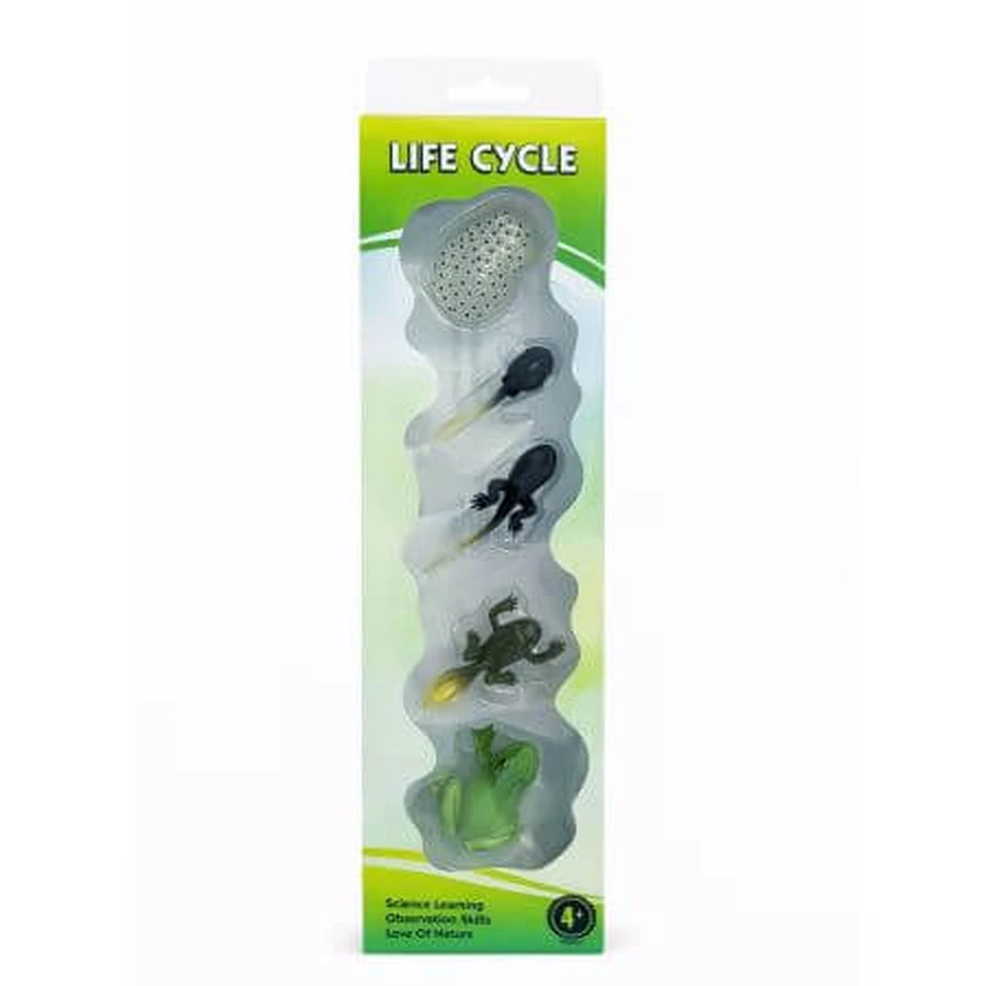 Kit pédagogique – Le cycle de vie d'une grenouille, à partir de 3 ans, OEM