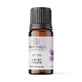 Aceite aromático, n.º 19, violeta, 10 ml, Light Candel Art