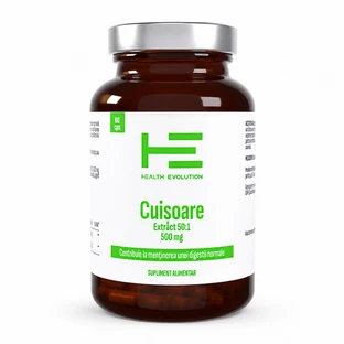 Clove Extract, 500 mg, 60 capsules, Health Evolution