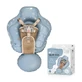 Swim Pro Inflatable Swimming Ring for Babies, Blue, 6–36 Months, Sipo