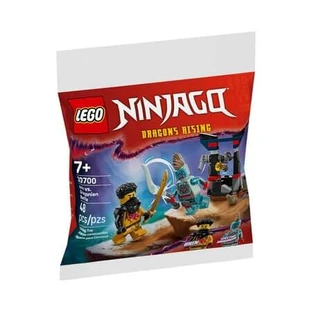 La batalla entre Arin y Dragonian, a partir de 7 años, 30 700, 48 piezas, Lego Ninjago
