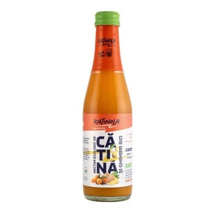 Bio-Sanddorn-Ingwer-Nektar, 250 ml, Katinola