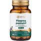 Pasiflora 650 mg — 60 cápsulas con extracto vegetal concentrado, para un sueño tranquilo y reparador y como apoyo en momentos de estrés | Hierbas tradicionales