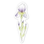 Coffret d'aquarelles - Marque-pages « Fleurs », collection « Créations naturelles »