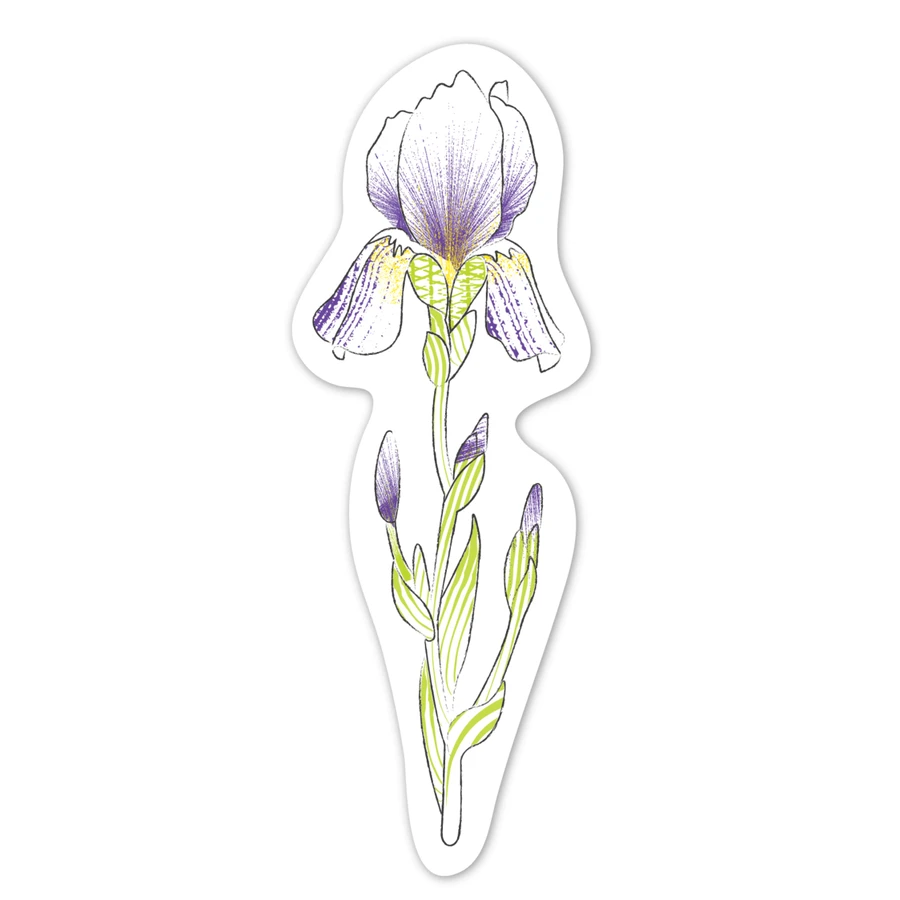 Coffret d'aquarelles - Marque-pages « Fleurs », collection « Créations naturelles »