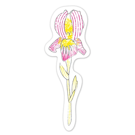 Coffret d'aquarelles - Marque-pages « Fleurs », collection « Créations naturelles »