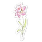 Coffret d'aquarelles - Marque-pages « Fleurs », collection « Créations naturelles »
