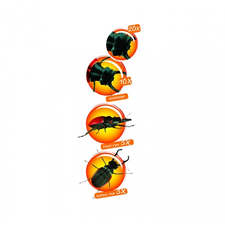 Navir-insectenobservatieset met vergrootglas en microscoop