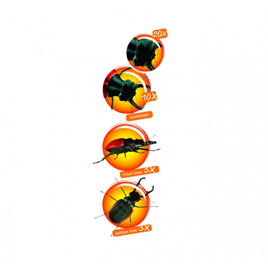 Navir-insectenobservatieset met vergrootglas en microscoop