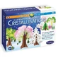 Experiment Kit - The Phenomenon of Crystallization