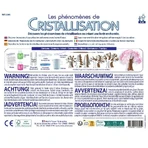 Kit d'expérimentation - Le phénomène de la cristallisation