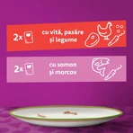 WHISKAS Tasty Mix Chef's Choice, zalm, rundvlees en gevogelte, nat kattenvoer in zakjes (in saus), multipack, 85 g x 4