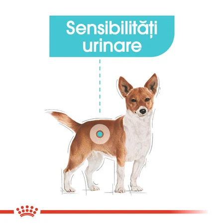 ROYAL CANIN Mini Urinary Care, dry dog food, urinary tract health, 1 kg