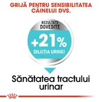 ROYAL CANIN Mini Urinary Care, dry dog food, urinary tract health, 1 kg