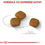 ROYAL CANIN Mini Urinary Care, dry dog food, urinary tract health, 1 kg