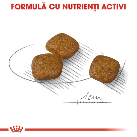 ROYAL CANIN Mini Urinary Care, dry dog food, urinary tract health, 1 kg