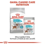 ROYAL CANIN Mini Urinary Care, dry dog food, urinary tract health, 1 kg