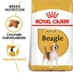 ROYAL CANIN Beagle Adult, pienso seco para perros, 3 kg