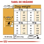 ROYAL CANIN Beagle Adult, droogvoer voor honden, 3 kg