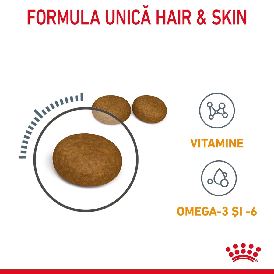 ROYAL CANIN Hair & Skin Care Adult, droogvoer voor katten, huid en vacht, 4 kg