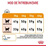 ROYAL CANIN Hair & Skin Care Adult, droogvoer voor katten, huid en vacht, 4 kg
