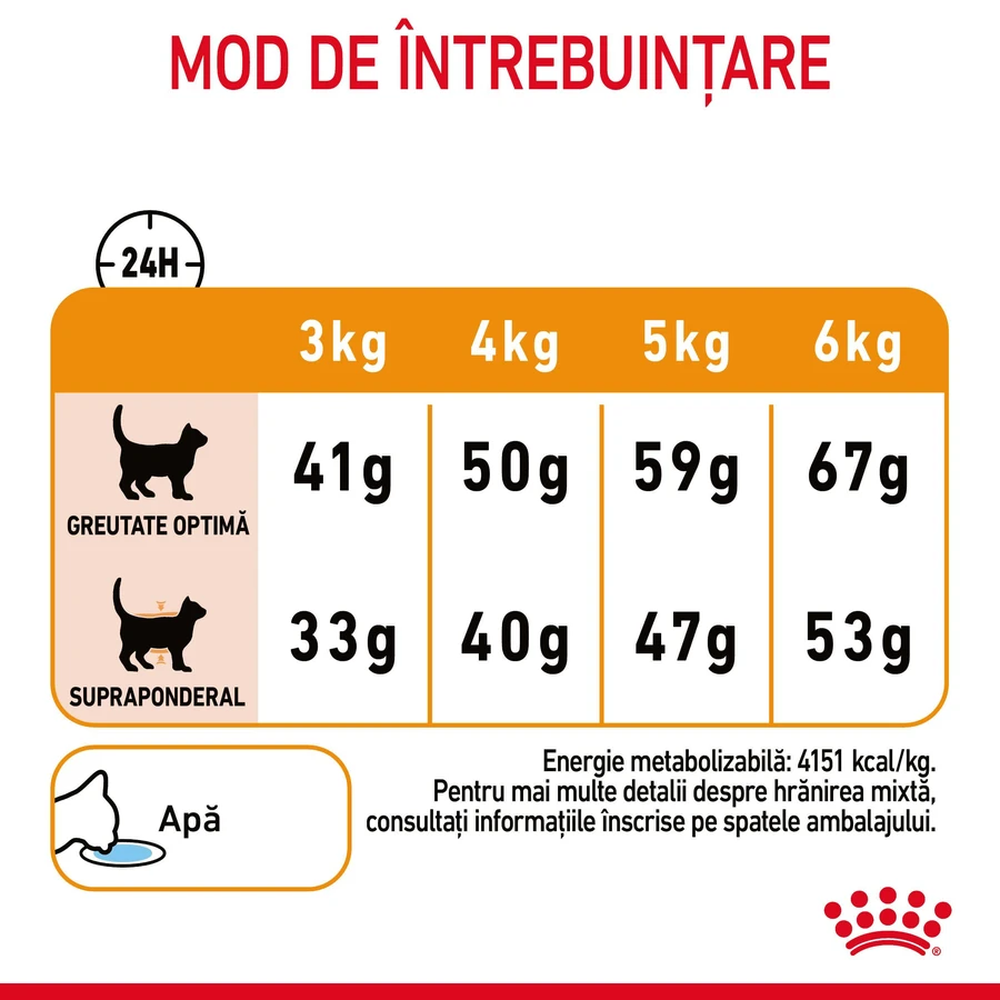 ROYAL CANIN Hair & Skin Care Adult, droogvoer voor katten, huid en vacht, 4 kg