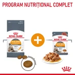 ROYAL CANIN Hair & Skin Care Adult, droogvoer voor katten, huid en vacht, 4 kg