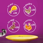 WHISKAS 1+ Poultry Feasts Selections, aves, comida húmeda para gatos en bolsitas (en gelatina), paquete múltiple, 85 g x 80
