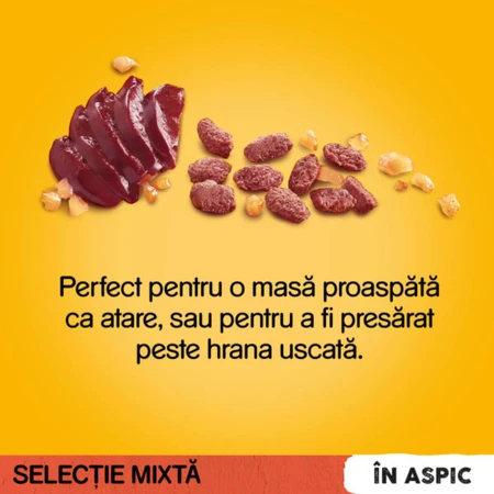 PEDIGREE Mixed Selection, XS-XL, rundvlees en gevogelte, zakjes nat hondenvoer (in aspic), multipack, 100 g x 4