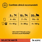 PEDIGREE Mixed Selection, XS-XL, rundvlees en gevogelte, zakjes nat hondenvoer (in aspic), multipack, 100 g x 4