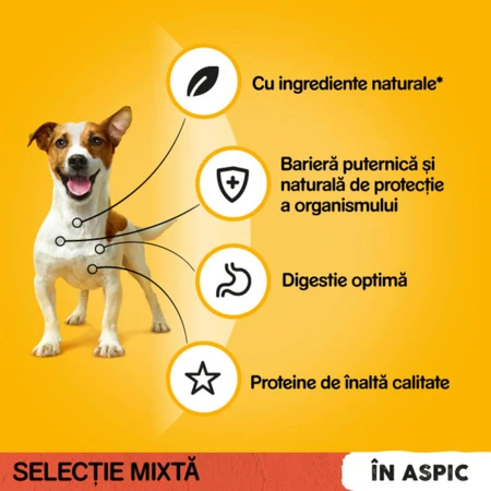 PEDIGREE Mixed Selection, XS-XL, rundvlees en gevogelte, zakjes nat hondenvoer (in aspic), multipack, 100 g x 4