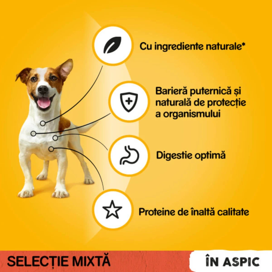 PEDIGREE Mixed Selection, XS-XL, rundvlees en gevogelte, zakjes nat hondenvoer (in aspic), multipack, 100 g x 4