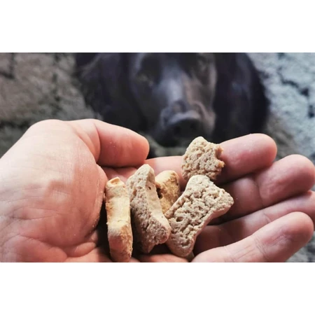 TRIBAL Rewards, XS-XL, Appel en Munt, Functionele hondensnoepjes, Spijsvertering, 125 g