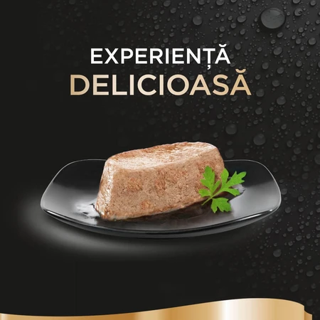 SHEBA Perfect Portions, Poulet, barquettes d'aliments humides pour chats (pâté), lot de 6, 37,5 g chacune